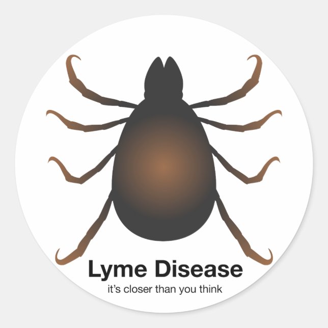 Adesivo Olá Vizinho (Frente)