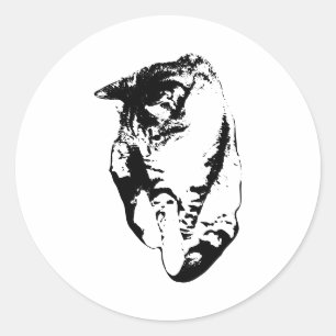 Adesivo Olhando para Baixo Vinheta Monocromática de Gato