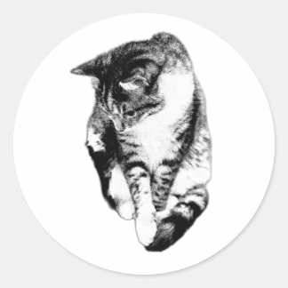 Adesivo Olhando para Baixo Vinheta Monocromática de Gato