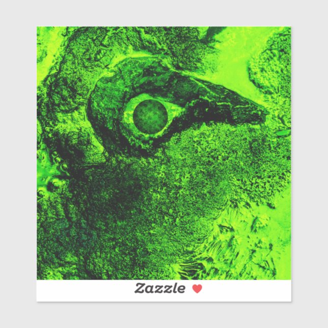 Adesivo olhando para o verde (Folha)