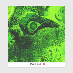 Adesivo olhando para verde