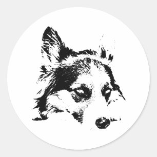 Adesivo Olhar para baixo da linha