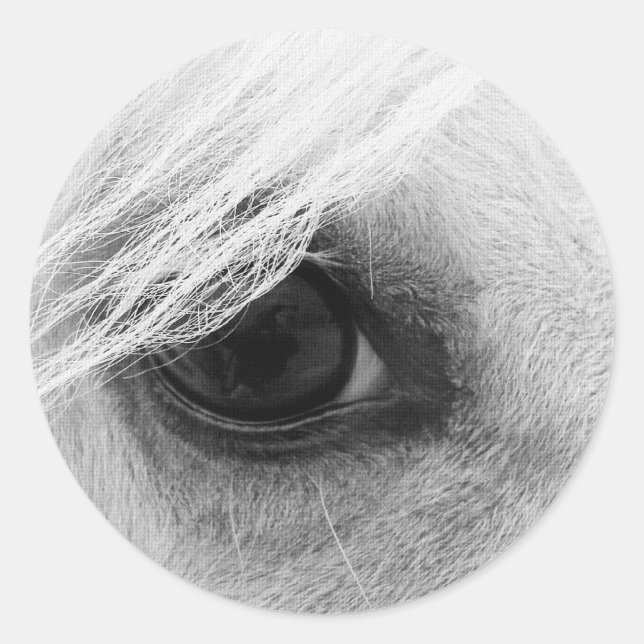 Adesivo Olho de Cavalo em Preto e Branco (Frente)