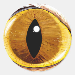 Adesivo Olho de gato pintado