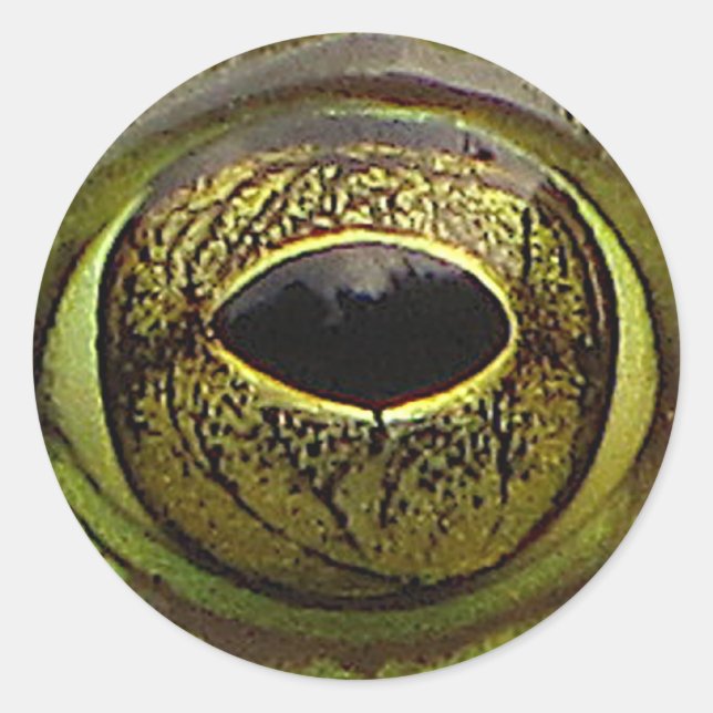 Adesivo Olho do sapo (Frente)