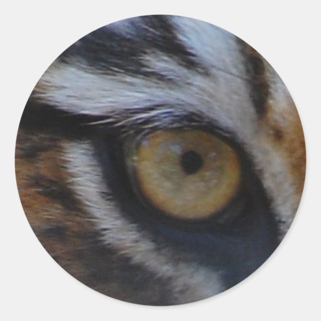 Adesivo Olho do tigre (Frente)
