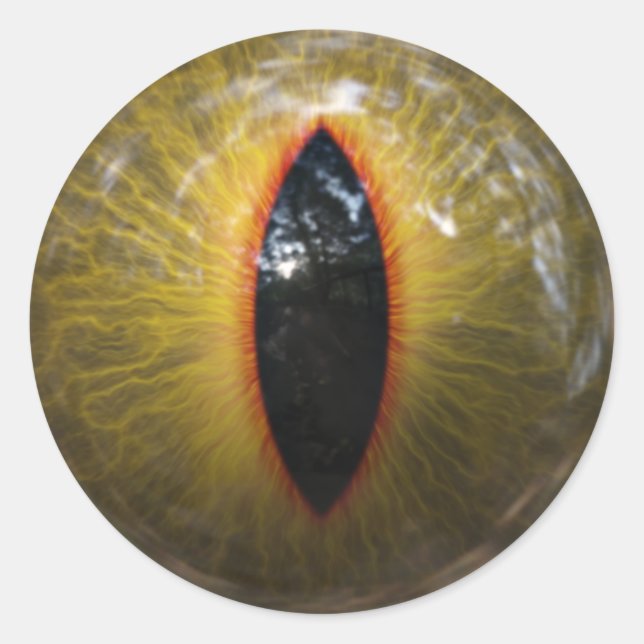 Adesivo Olho Gato (Frente)