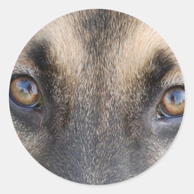 Adesivo Olhos de german shepherd (Frente)