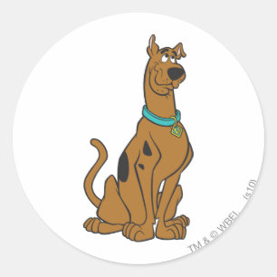 Adesivo Olhos do filhote de cachorro de Scooby-Doo