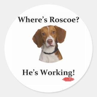 Adesivo Onde está Roscoe?
