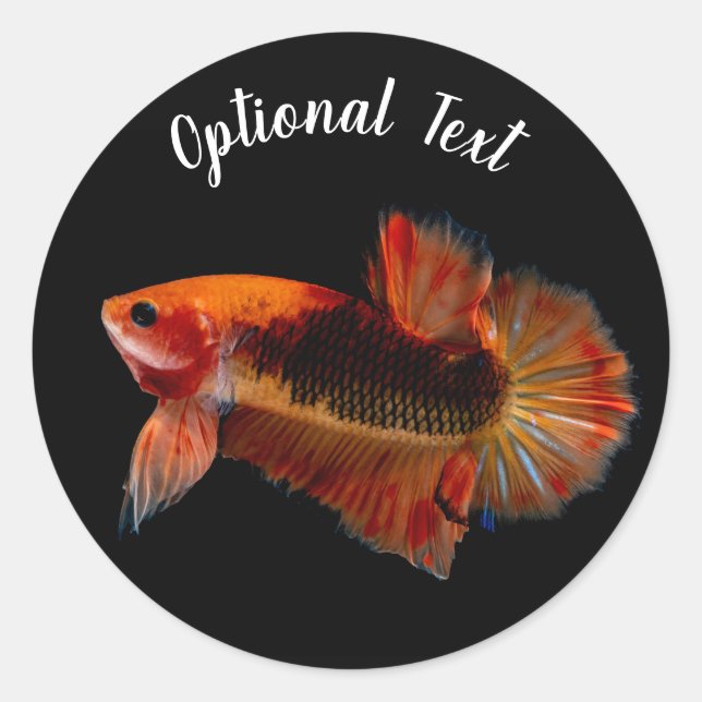 Adesivo Orange Betta Fighting Fish (Frente)