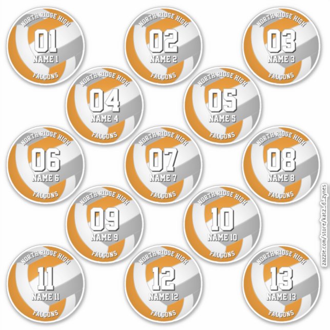 Adesivo orange gray volleyball team stickers 13 athletes (Frente)