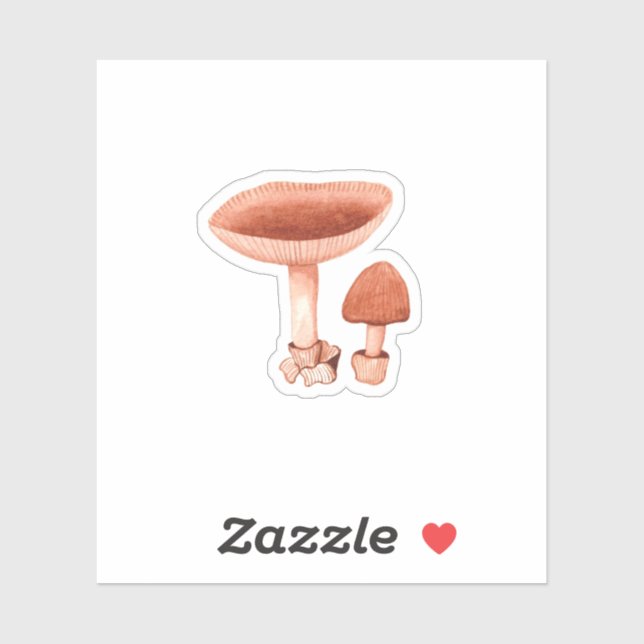 Adesivo Orange Grisette (Amanita crocea) (Folha)