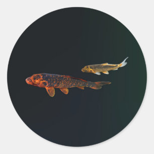 Adesivo Orange Koi e Dourado Koi