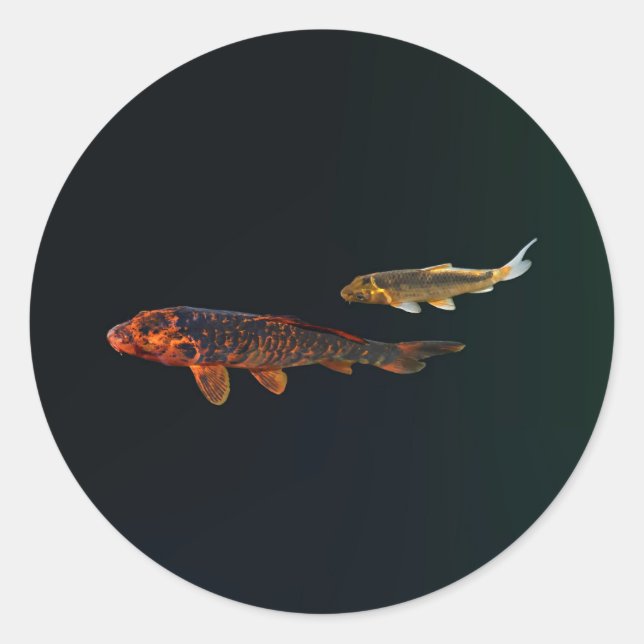 Adesivo Orange Koi e Dourado Koi (Frente)