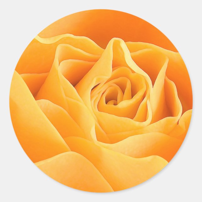ADESIVO ORANGE ROSA (Frente)