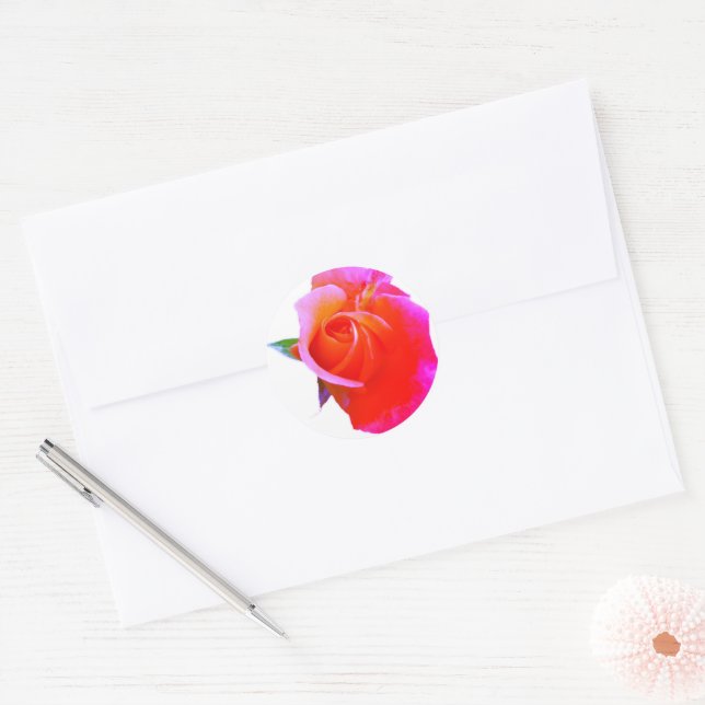 Adesivo Orange Rosa Stikers (Envelope)