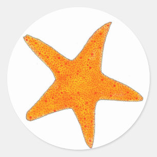 Adesivo Orange Starfish Star Fish Beach Party Ocean Life