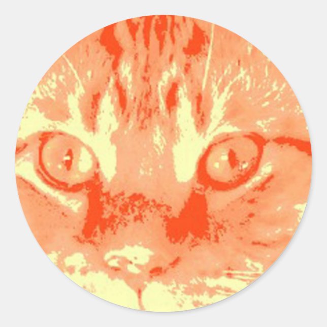 Adesivo Orange Tabby Cat (Frente)