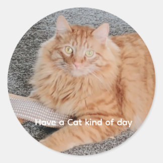 Adesivo Orange Tabby cat 