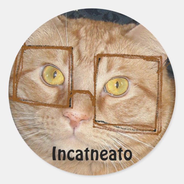 Adesivo Orange Tabby Cat/Incognito Humor (Frente)