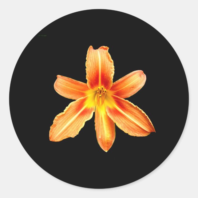 Adesivo Orange Tiger Lily Stickers (Frente)