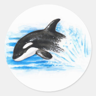 Adesivo Orca Playing
