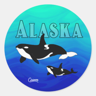Adesivo Orcas Alaska - Envelope Stickers