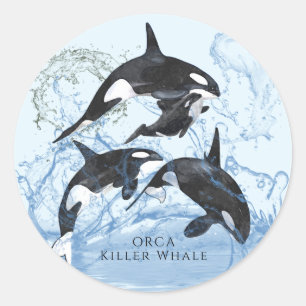 Adesivo Orcas Incríveis de Preto e Branco