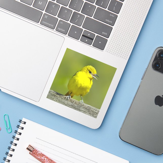 Adesivo Orchard Oriole - Fotografia original (Notebook com iPhone)