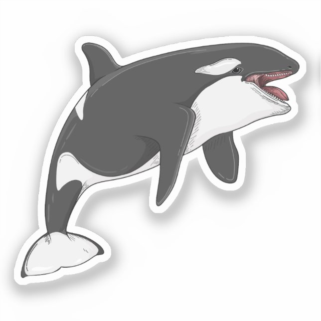Adesivo Orcinus Orca — Ilustração vetorial (Frente)
