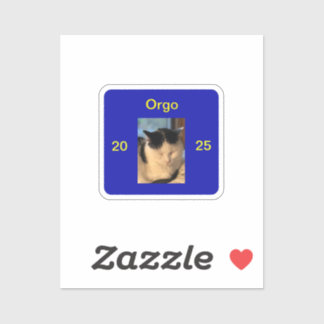 Adesivo orgo wincing