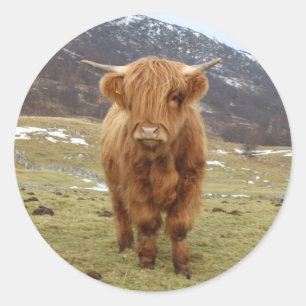 Adesivo Orgulho de ser escocês!