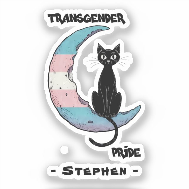 Adesivo Orgulho Transgênero - Gato Negro na Lua de Sinaliz (Frente)