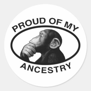 Adesivo Orgulhoso de meu chimpanzé da ascendência