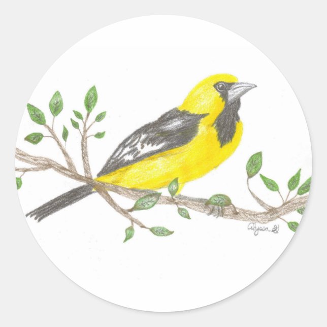 adesivo Oriole (Frente)
