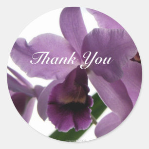Adesivo Orquídea 1 Obrigado-Você/Adesivos