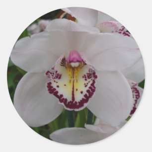 Adesivo Orquídea Branca II Elegante