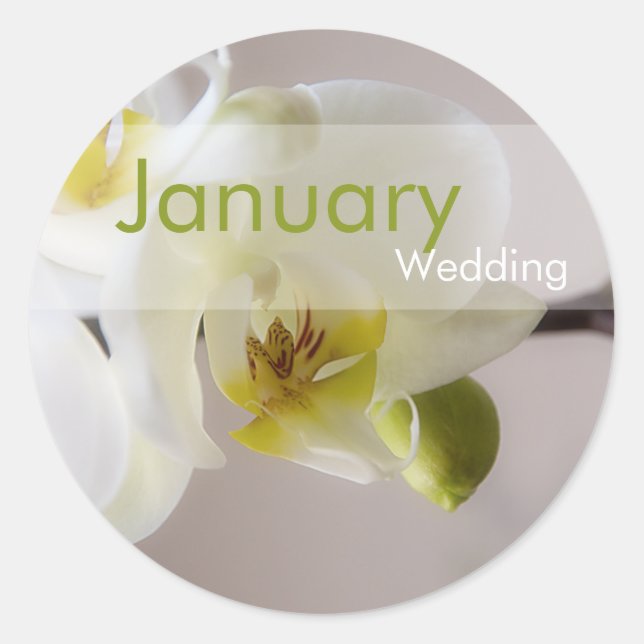 Adesivo Orquídea Branca - Vinheta de Casamento de Janeiro (Frente)