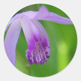 Adesivo Orquídea de Verão!