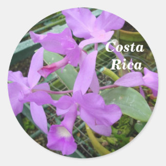 Adesivo Orquídea - Flor Nacional da Costa Rica