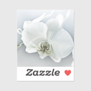 Adesivo Orquídea Phalaenopsis Branca