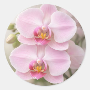 Adesivo Orquídea Phalaenopsis Rosa Suave