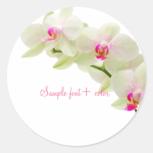 Adesivo Orquídea rosa PixDezine