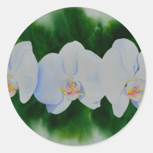 Adesivo Orquídeas brancas aquarelas