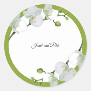 Adesivo Orquídeas brancas elegantes sobre fundo verde
