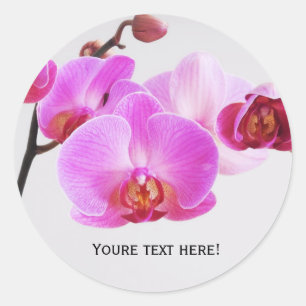 Adesivo Orquídeas cor-de-rosa bonitas