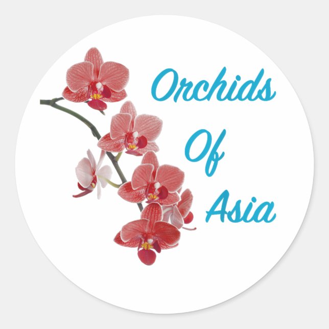 Adesivo Orquídeas da Ásia Day Spa (Frente)