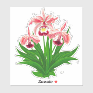 Adesivo Orquídeas Selvagens - Orquídeas Rosa-Coral e Folha