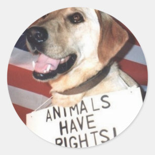Adesivo Os animais têm direitos